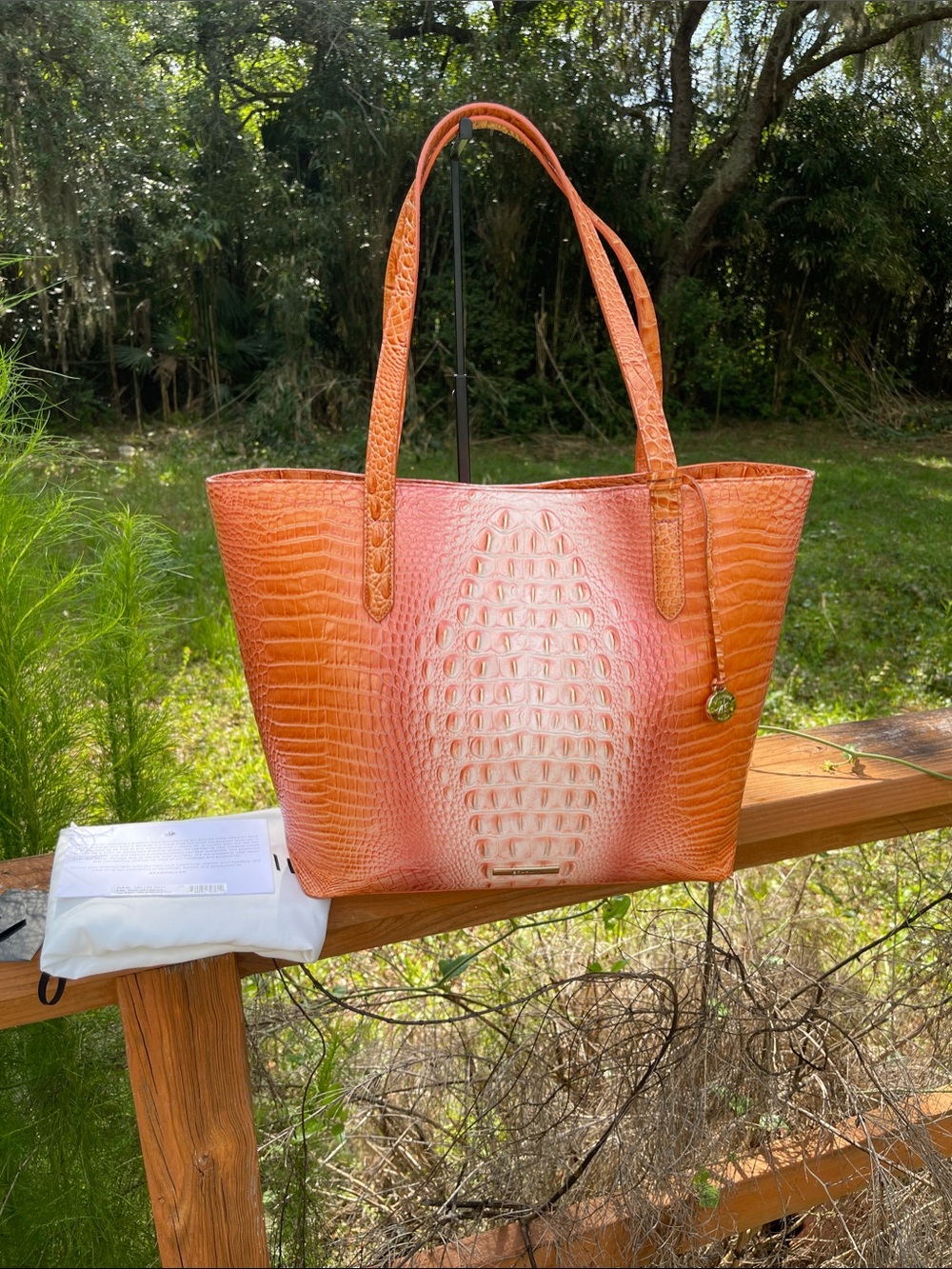 Brahmin Brooke in Sherbert Ombre Melbourne Croc-Embossed Orange Tote Bag